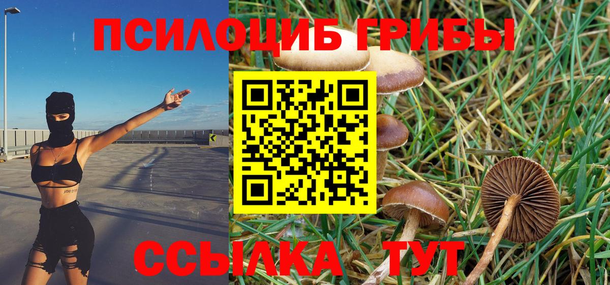 Галлюциногенные грибы MAGIC MUSHROOMS  Вход с VPN  Апшеронск 