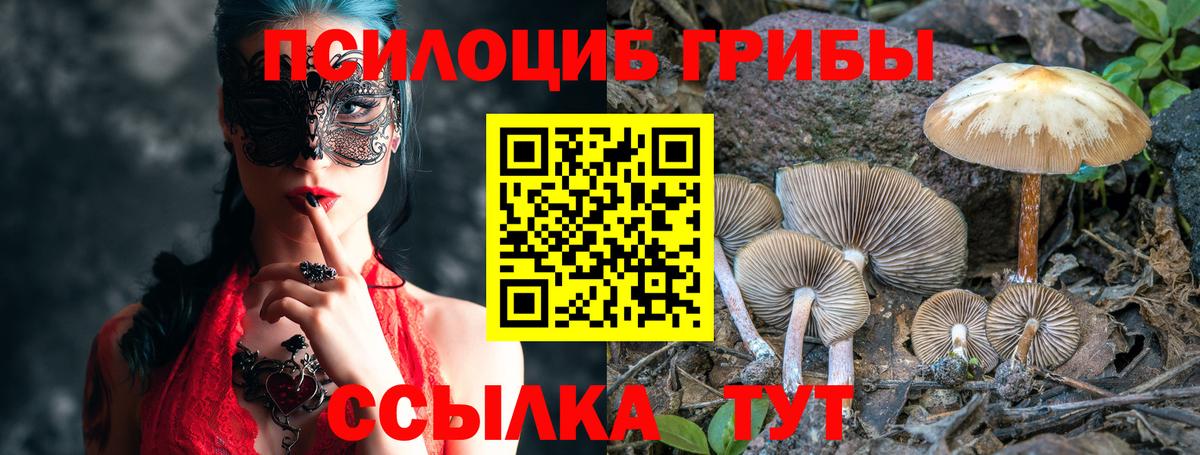 Псилоцибиновые грибы GOLDEN TEACHER Апшеронск